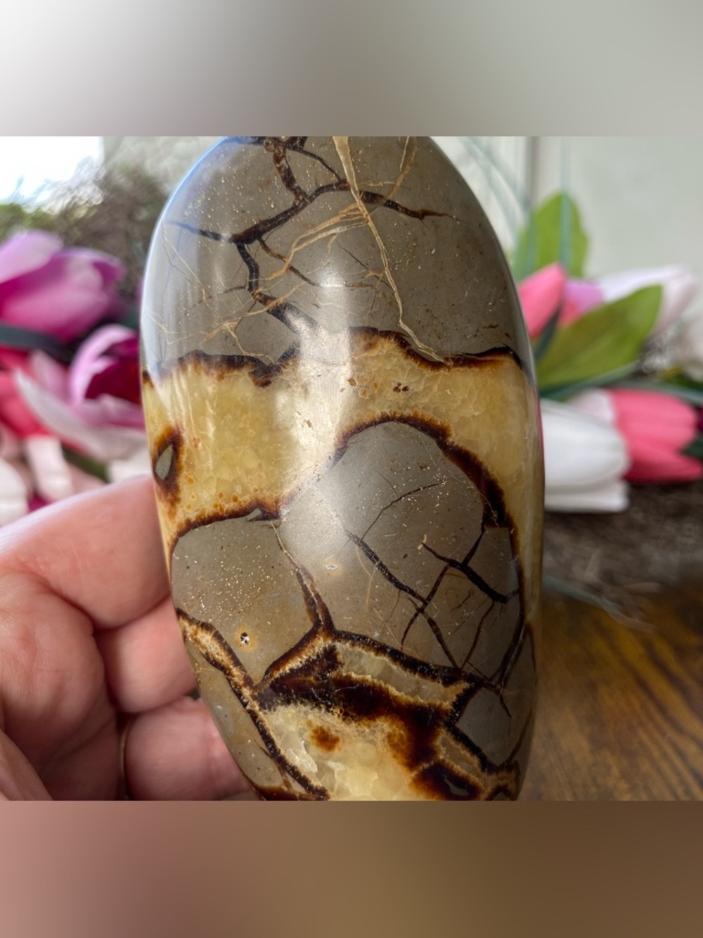 Septarian Freeform - Picture 6 of 12